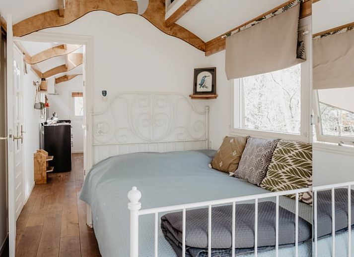 Guest house 560507 - Holiday property Utrecht noord - Vakantiehuis in Leusden