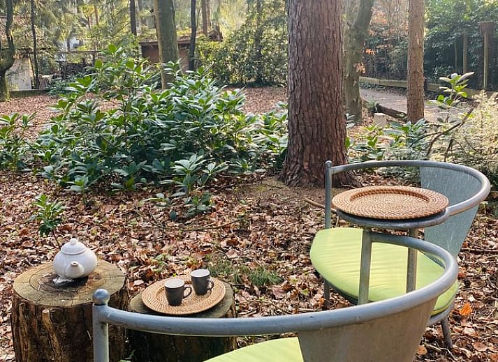 Guest house 560706 - Holiday property Utrecht noord - Huisje in Baarn