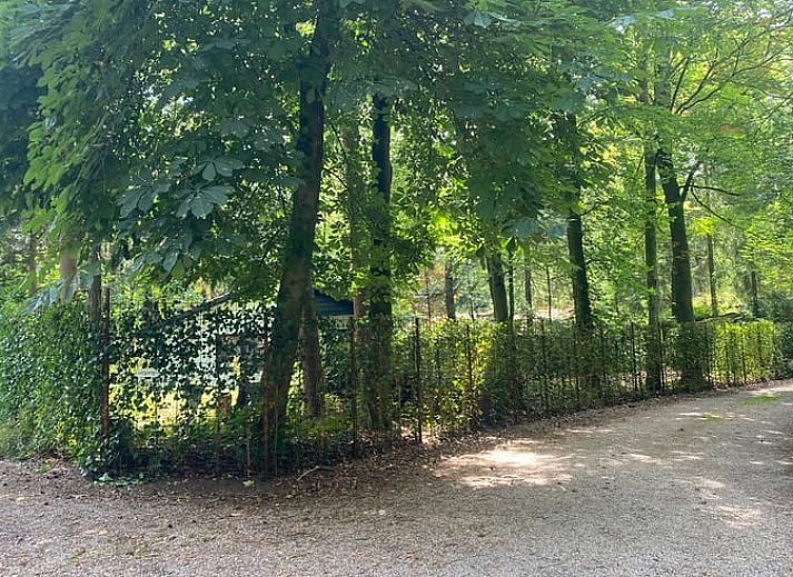Guest house 560706 - Holiday property Utrecht noord - Huisje in Baarn