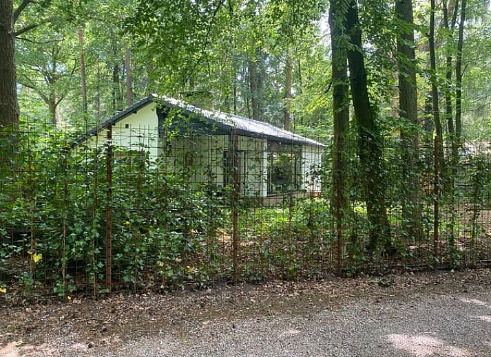 Guest house 560706 - Holiday property Utrecht noord - Huisje in Baarn
