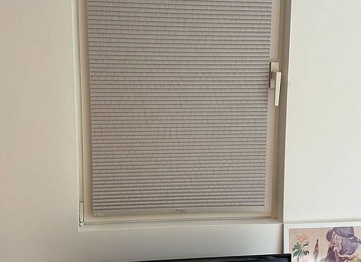 Lichte leefruimte in Vakantiehuis in Soest, Utrecht, met comfortabele bank en decoratieve elementen.