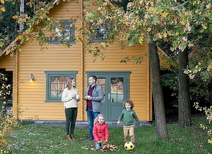 Blick auf die Natur vom Huisje in Soest, Ferienhaus in Soest, Utrecht mit Fluegeltueren.