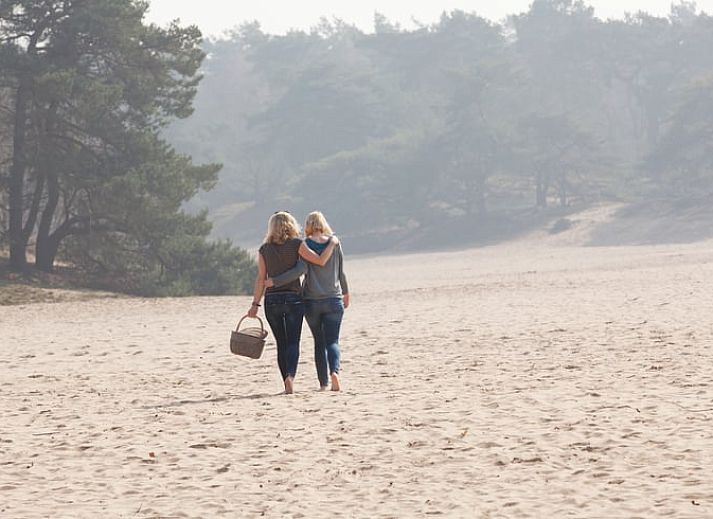Geraeumiges Esszimmer in Cottage in Soest, Ferienhaus in Soest, Utrecht mit Holzinterieur.