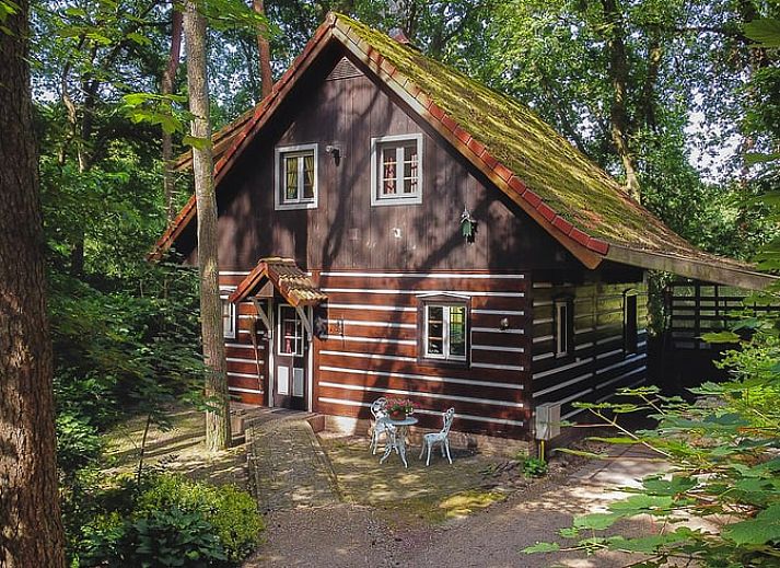 Guest house 560819 • Holiday property Utrecht noord • Vakantiehuisje in Soest
