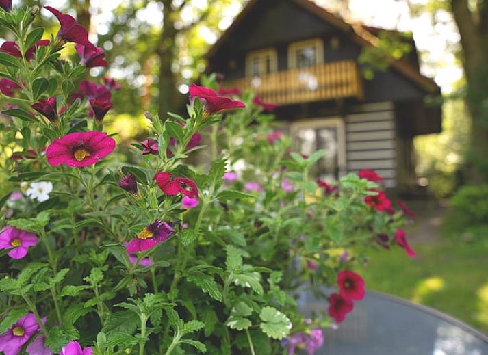 Unterkunft 560819 - Ferienhaus Utrecht noord - Vakantiehuisje in Soest