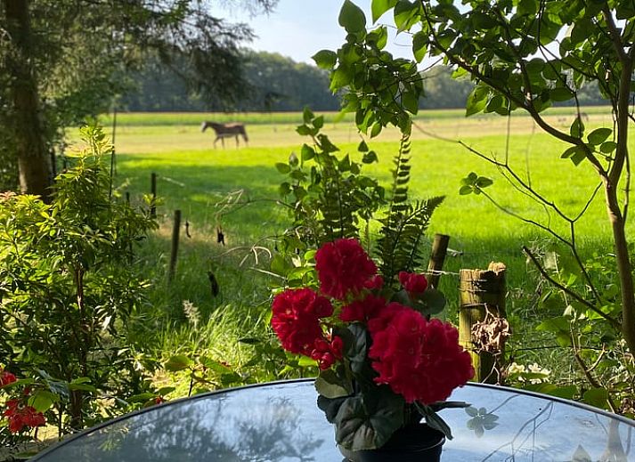Unterkunft 560819 - Ferienhaus Utrecht noord - Vakantiehuisje in Soest