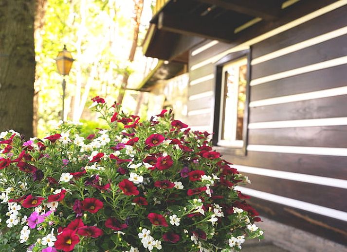 Unterkunft 560819 - Ferienhaus Utrecht noord - Vakantiehuisje in Soest