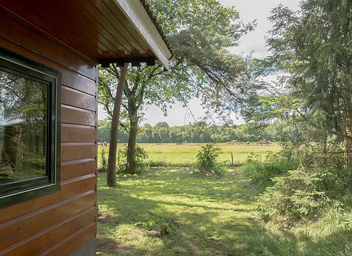 Guest house 560827 - Bungalow Utrecht noord - Sfeervolle vakantiewoning