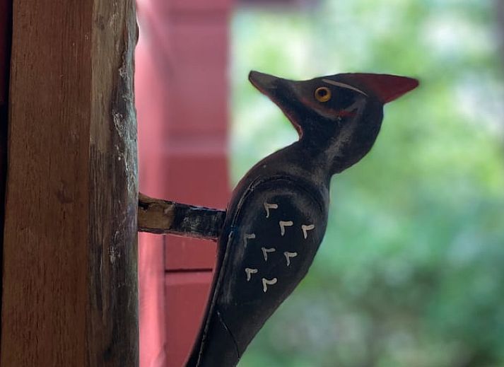 Rustiek rood huisje, Huisje in Soest, midden in de serene bossen van Soest, Utrecht noord.