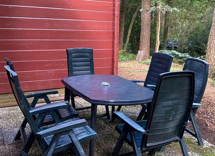 Rustiek rood huisje, Huisje in Soest, midden in de serene bossen van Soest, Utrecht noord.