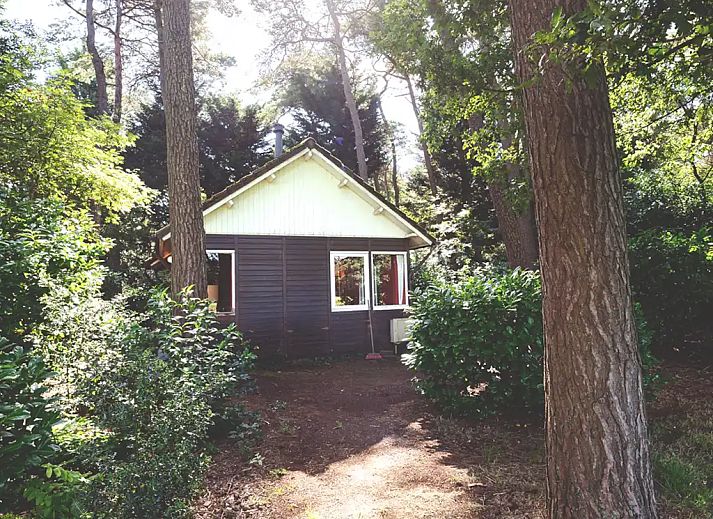 Guest house 560846 - Bungalow Utrecht noord - Knus Natuurhuisje aan Weiland