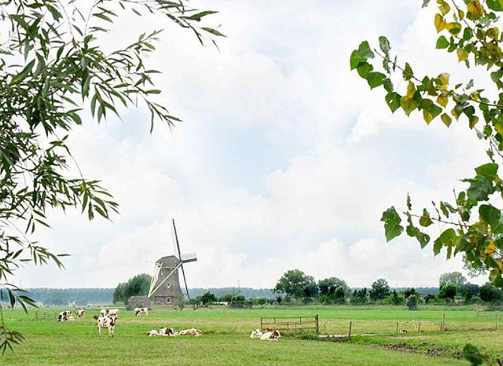 Unterkunft 560927 - Ferienhaus Utrecht noord - UT022