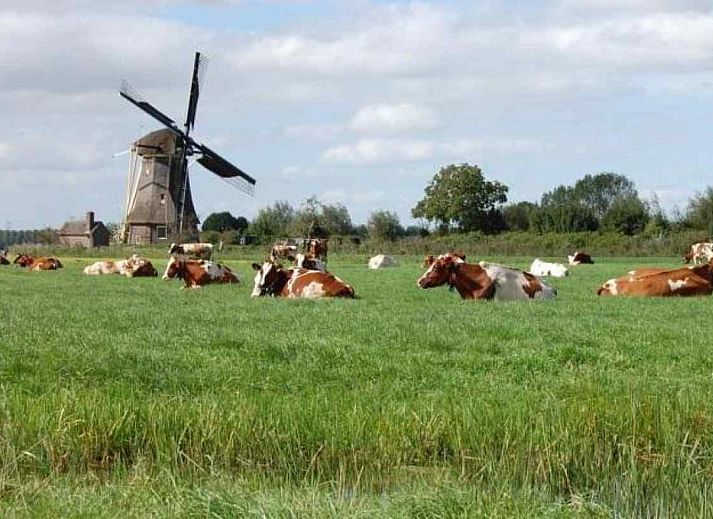 Unterkunft 560927 - Ferienhaus Utrecht noord - UT022