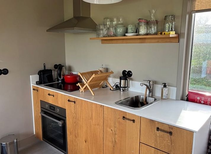 Schafe grasen friedlich in der Naehe eines Ferienhauses in Baambrugge, Utrecht Nord.