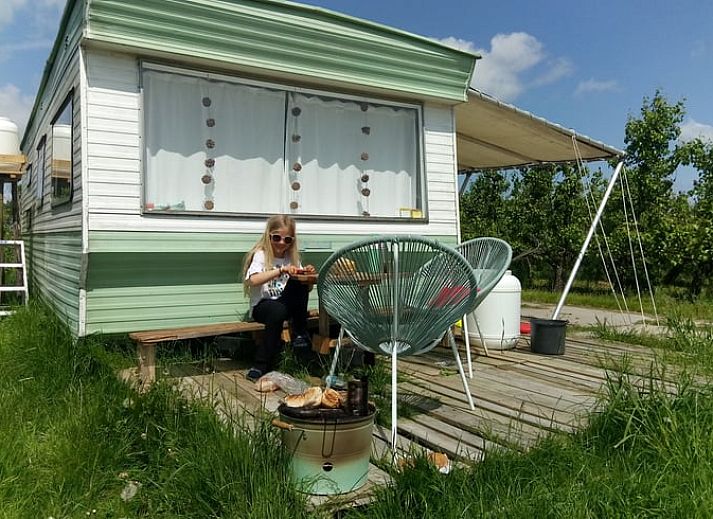 Unterkunft 561104 - Chalet Utrecht noord - Vakantiehuisje in Tienhoven a/d Lek