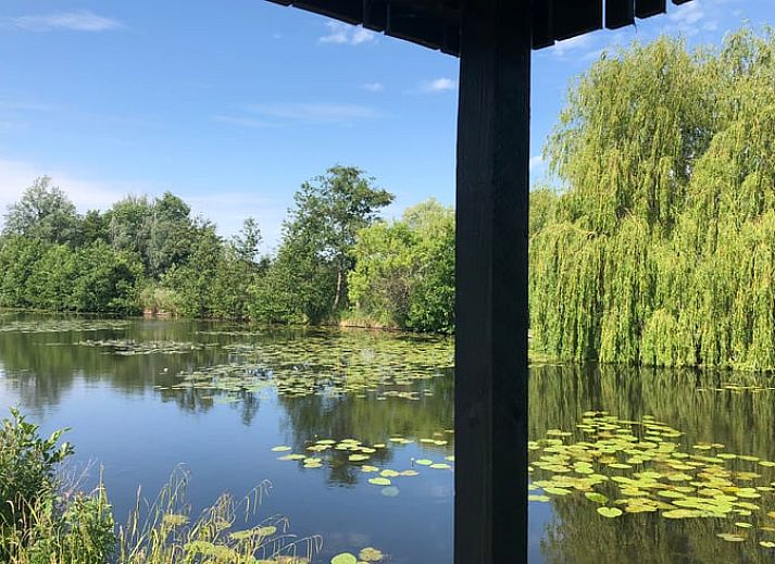 Gezellige zithoek in Vakantiehuisje in Tienhoven, Utrecht noord, met oranje bank en uitzicht op de natuur.
