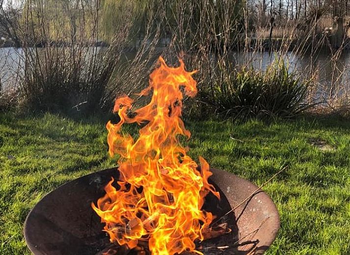 Planten en uitzicht op het terras van Vakantiehuisje in Tienhoven in Utrecht noord.