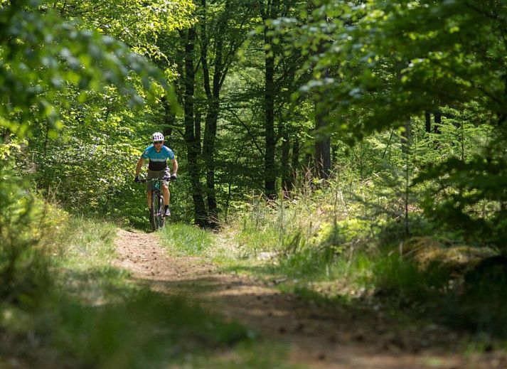 Verblijf 561305 - Vakantiewoning Utrecht noord - De Douglas