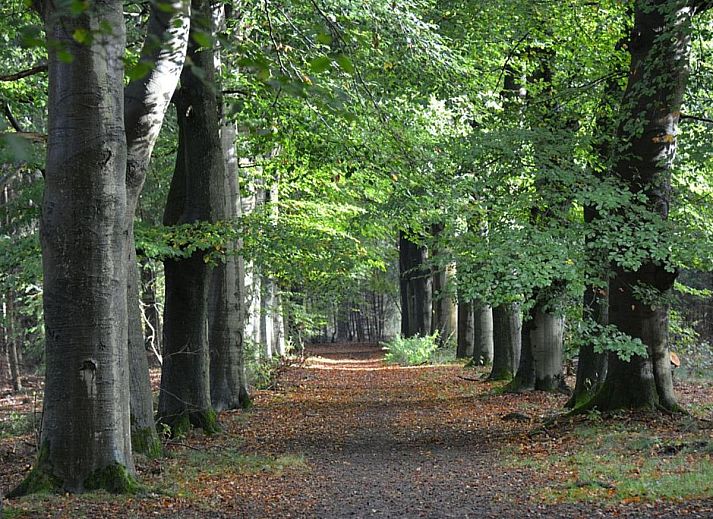 Verblijf 561305 - Vakantiewoning Utrecht noord - De Douglas
