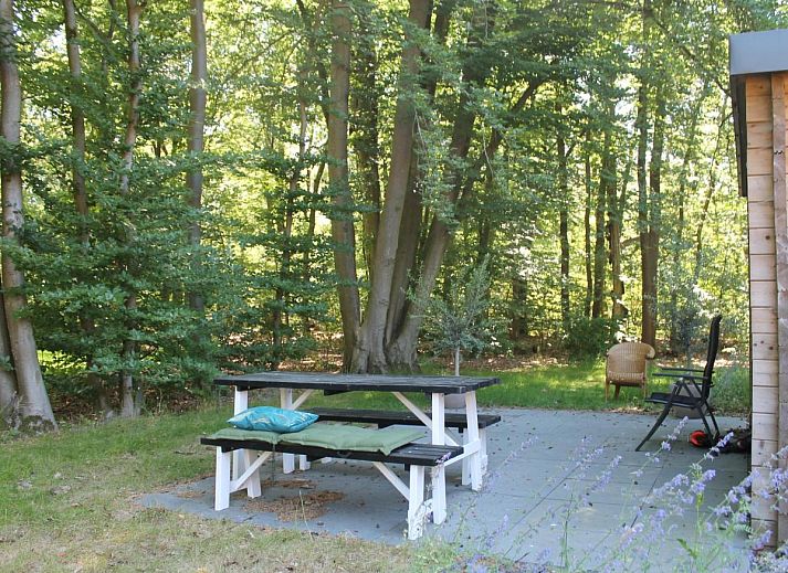 Guest house 561307 - Holiday property Utrecht noord - Scilla