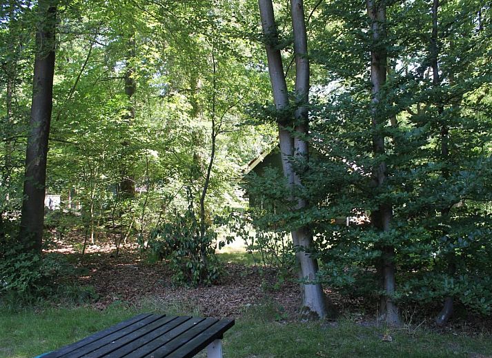 Guest house 561307 - Holiday property Utrecht noord - Scilla