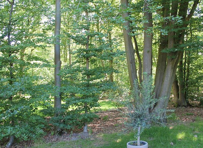 Guest house 561307 - Holiday property Utrecht noord - Scilla