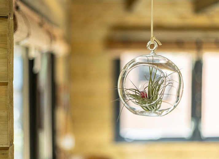 Verblijf 561308 - Vakantiewoning Utrecht noord - Amaryllis