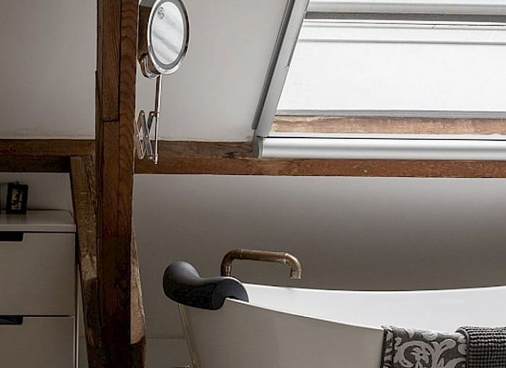 Decorative details in Cottage in Waverveen, Utrecht vacation home with books and bust.