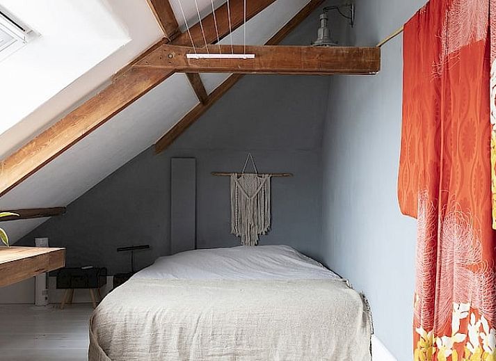 Artful wall decoration in Cottage in Waverveen, vacation home in Utrecht North.