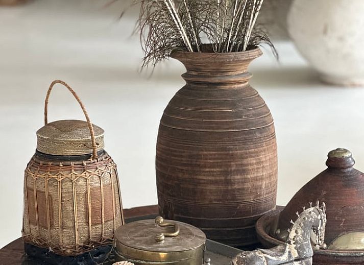 Cozy living room in House in Waverveen, vacation home in Utrecht with large plant and art.