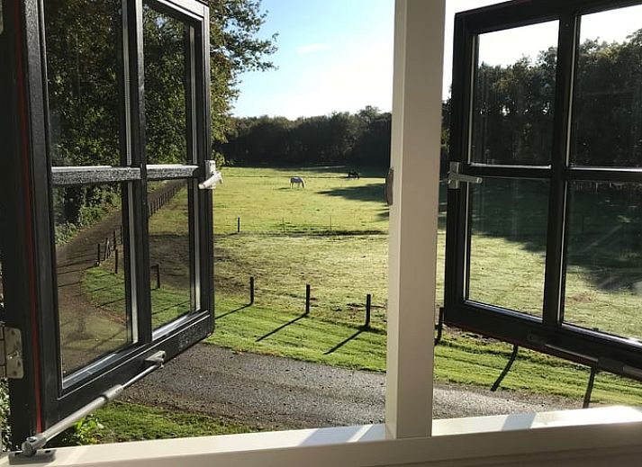 Guest house 561506 - Holiday property Utrecht noord - Vakantiehuisje in Eemnes
