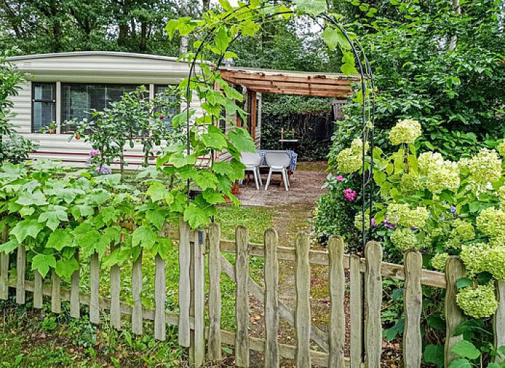 Unterkunft 570113 • Bungalow Utrechtse Heuvelrug • Amerongse Berg | 4-persoonsbungalow | type 4EL1