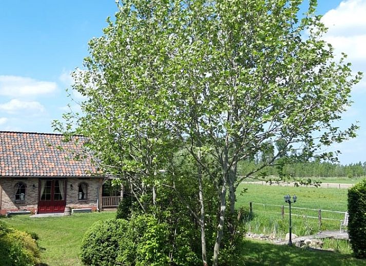 Verblijf 570305 • Vakantiewoning Utrechtse Heuvelrug • Vakantiehuis in Amerongen
