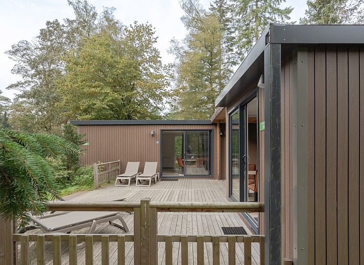 Das Duo-Chalet Lunenburg in Doorn bietet eine grosse Terrasse mit Blick auf den Utrechtse Heuvelrug.