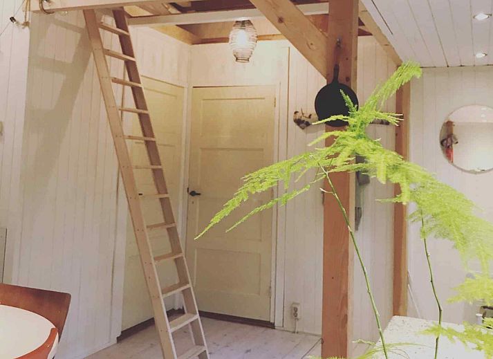 Unterkunft 570417 - Ferienhaus Utrechtse Heuvelrug - UT039