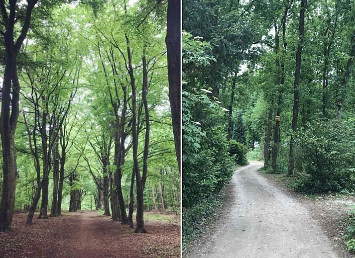Unterkunft 570417 - Ferienhaus Utrechtse Heuvelrug - UT039