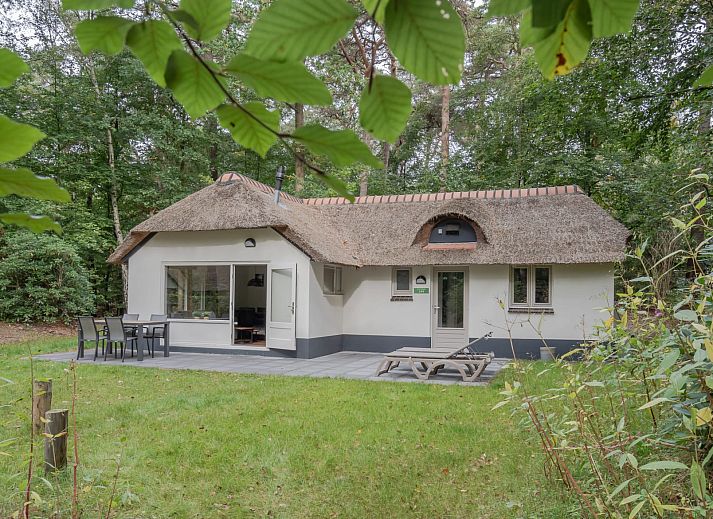 Guest house 570421 • Holiday property Utrechtse Heuvelrug • Bungalow Ruiterberg