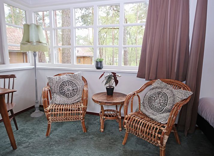 Gezellige zithoek in Bungalow Ficus, Doorn, Utrechtse Heuvelrug met uitzicht op de natuur.