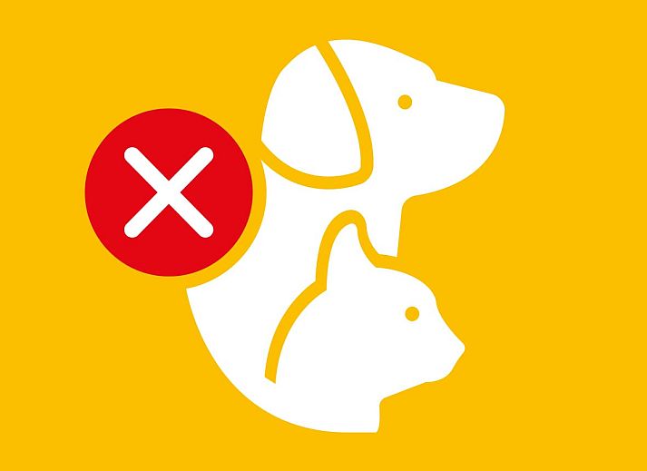 Innenbereich der Tentvilla Veldzigt, Doorn, mit moderner Kueche und Essbereich, ideal fuer einen komfortablen Urlaub.