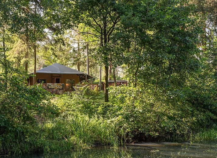 Guest house 570436 • Tent house Utrechtse Heuvelrug • Safaritent Lommerlust 