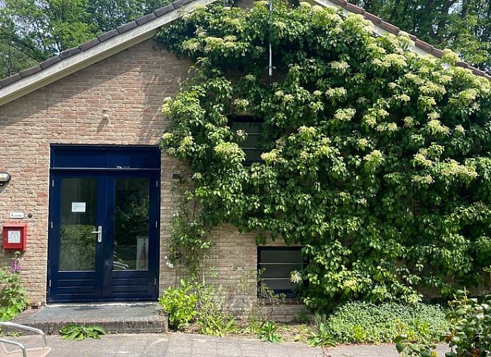 Ferienhaus in Doorn mit gruener Fassade auf dem Utrechter Bergruecken.