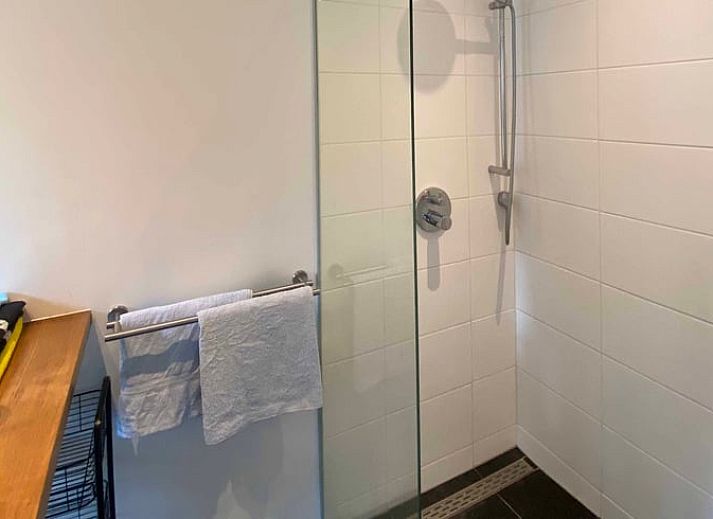 Eingang zum Ferienhaus in Doorn, umgeben von Gruenpflanzen.