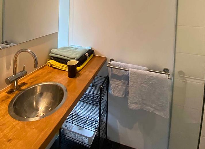 Eingang zum Ferienhaus in Doorn, umgeben von Gruenpflanzen.