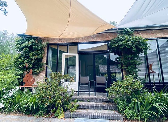 Eingang zum Ferienhaus in Doorn, umgeben von Gruenpflanzen.