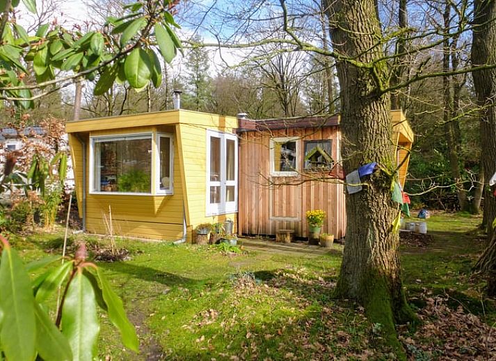 Cozy indoor area of Huisje in Doorn overlooking the nature of the Utrechtse Heuvelrug.
