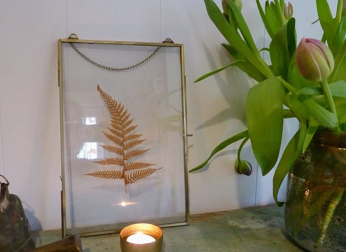 Exterior of Huisje in Doorn, vacation home amid green surroundings in Utrecht.