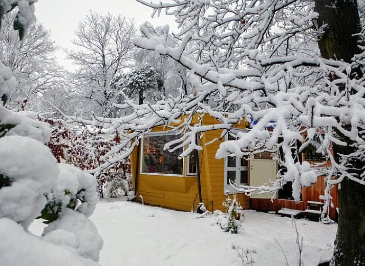 Vacation home Cottage in Doorn, surrounded by trees on the Utrecht Hill Ridge.