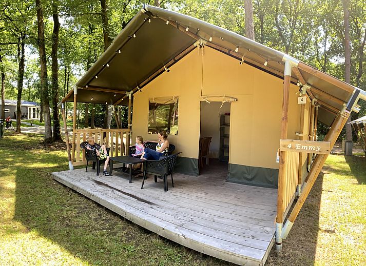 Guest house 570456 - Tent house Utrechtse Heuvelrug - Safaritent