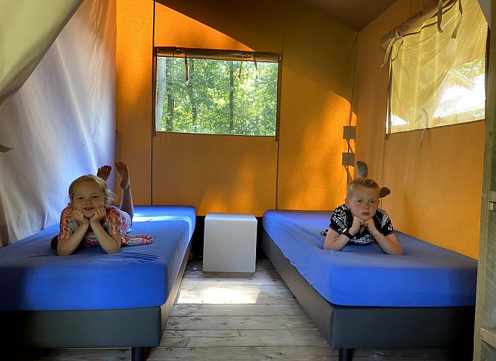 Guest house 570456 - Tent house Utrechtse Heuvelrug - Safaritent