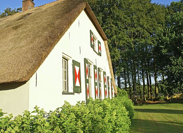 Unterkunft 570457 - Ferienhaus Utrechtse Heuvelrug - Hofstede Groot Blankenstein